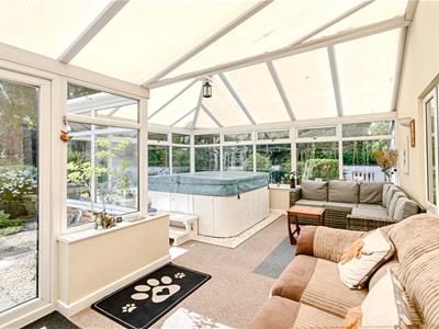 Picture 7